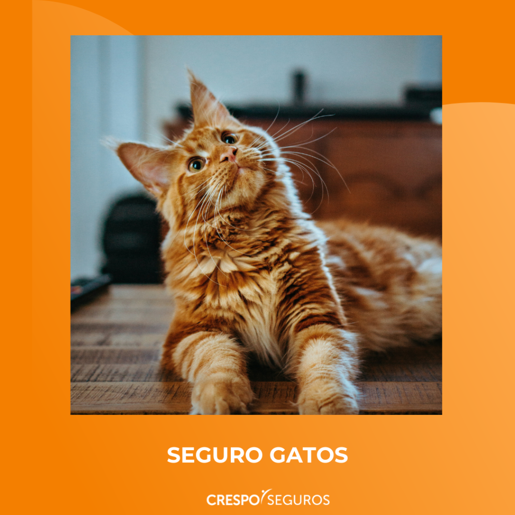 animais