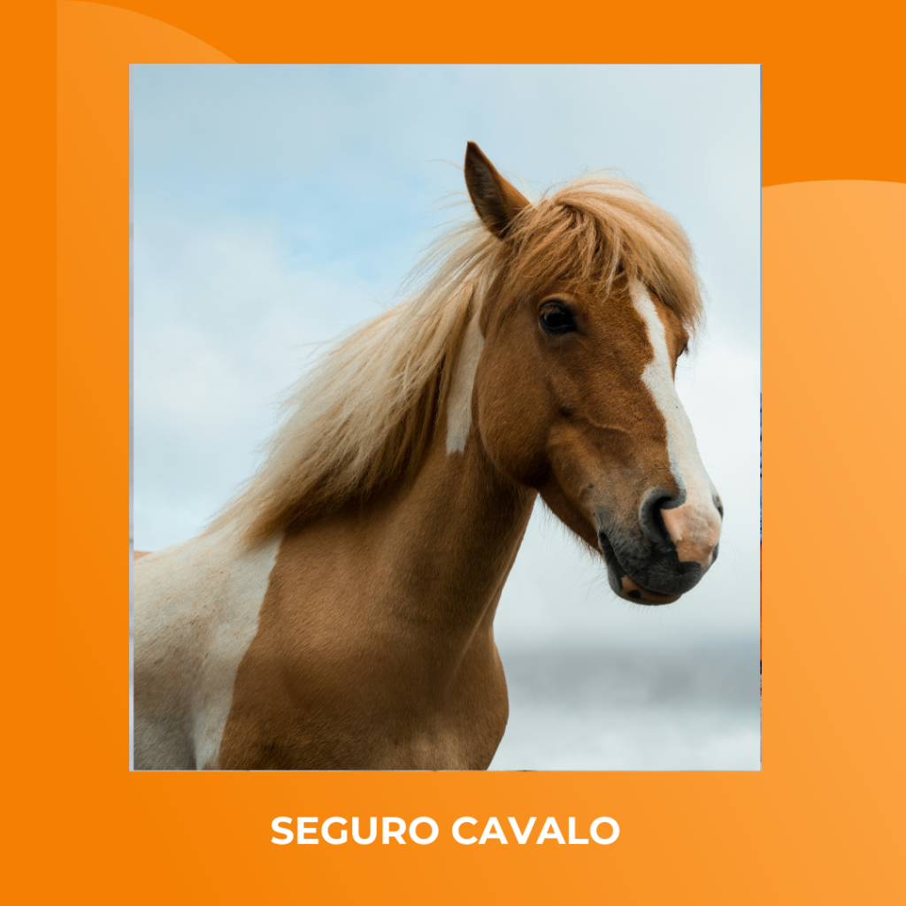 cavalo